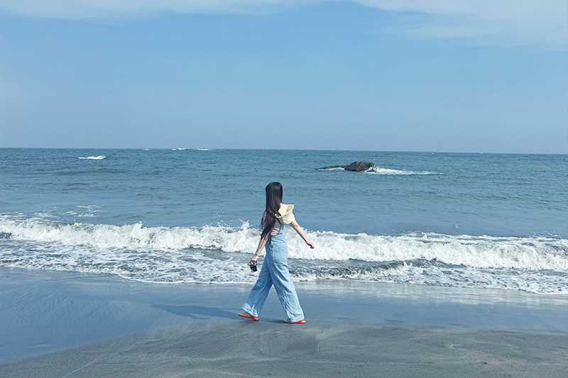 千葉県 白浜の海でお散歩